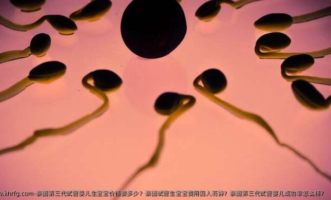 泰国第三代试管婴儿生宝宝价格要多少？泰国试管生宝宝费用因人而异？泰国第三代试管婴儿成功率怎么样？