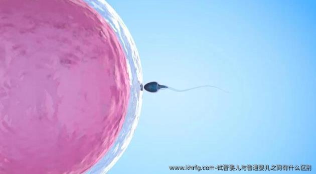 试管婴儿与普通婴儿之间有什么区别