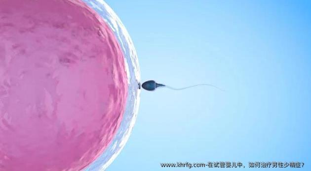 在试管婴儿中，如何治疗男性少精症？