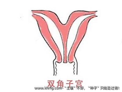 “土壤”不好，“种子”只能是过客!