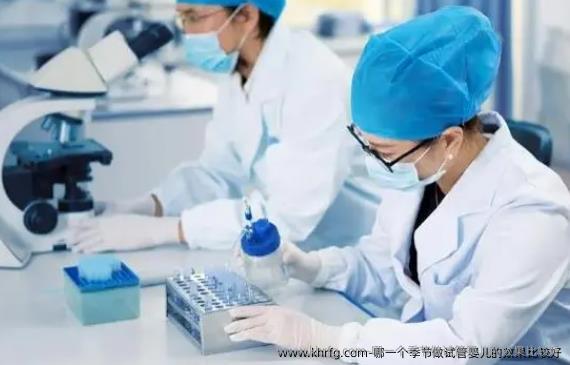 哪一个季节做试管婴儿的效果比较好