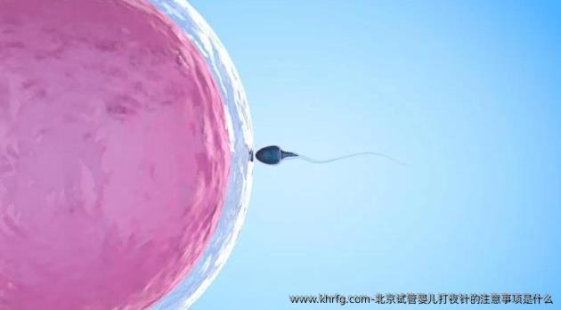 北京试管婴儿打夜针的注意事项是什么
