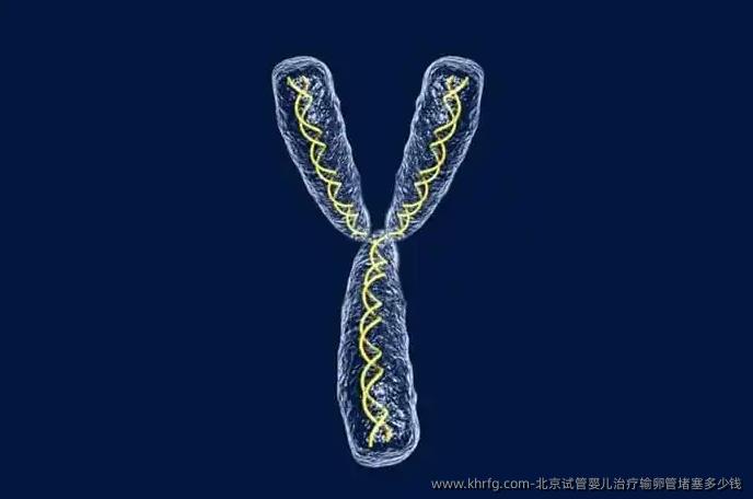 北京试管婴儿治疗输卵管堵塞多少钱