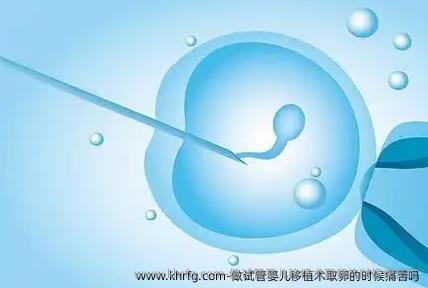 做试管婴儿移植术卵泡取出的时候痛苦吗