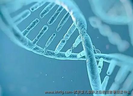 试管婴儿卵泡取出之后的注意事项是什么