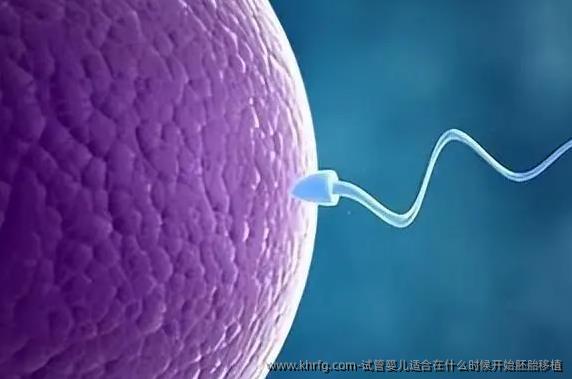 试管婴儿适合在什么时候开始胚胎移植