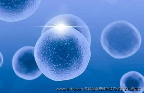 怎样做能更好的提高试管婴儿成功率