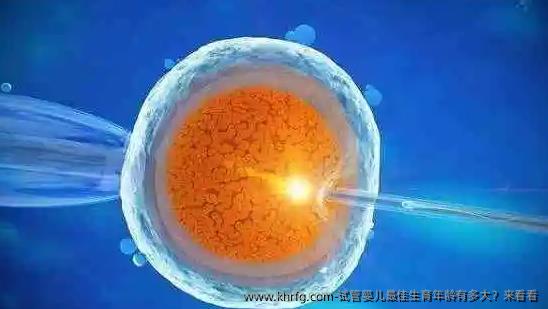 试管婴儿较好生育年龄有多大？来看看