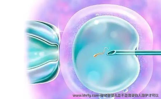 做试管婴儿是不是需要有人陪护才可以
