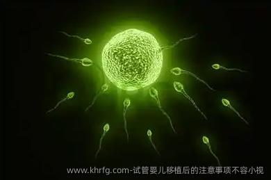 试管婴儿移植后的注意事项不容小视