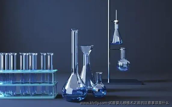 试管婴儿移植术之前的注意事项是什么