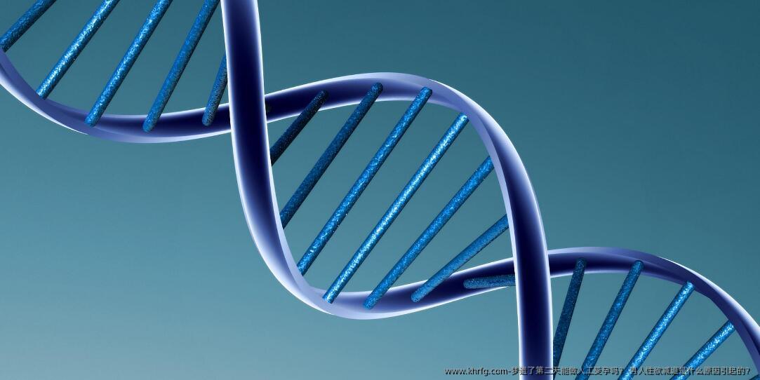 梦遗了第二天能做人工受孕吗？ 男人性欲减退是什么原因引起的？