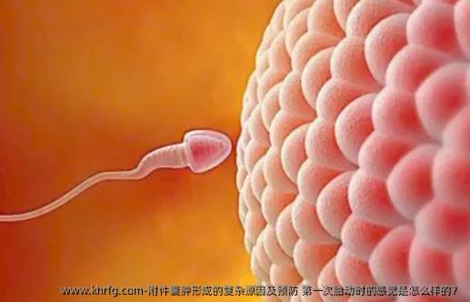 附件囊肿形成的复杂原因及预防 第一次胎动时的感觉是怎么样的？