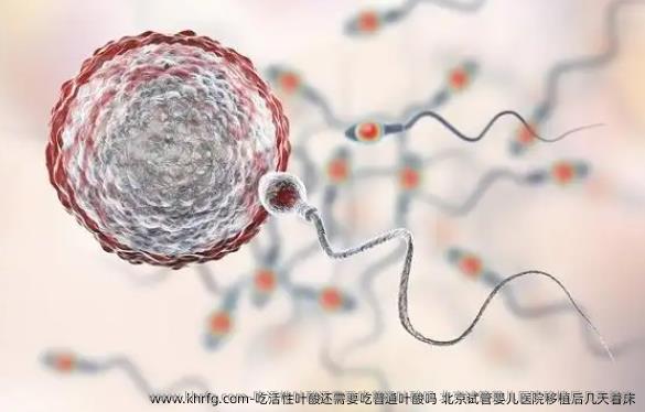 吃活性叶酸还需要吃普通叶酸吗 北京试管婴儿医院移植后几天着床