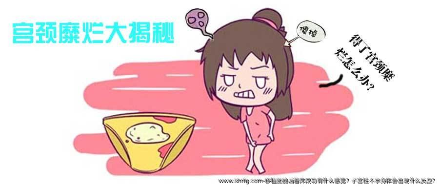 移植胚胎后着床成功有什么感觉？子宫性不孕身体会出现什么反应?