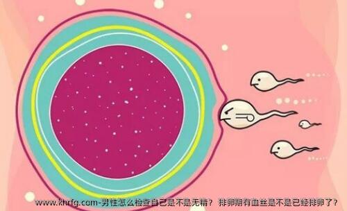 男性怎么检查自己是不是无精？ 排卵期有血丝是不是已经排卵了？