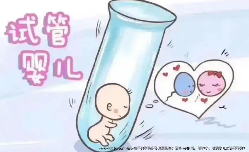 长途旅行时准妈妈妈要注意哪些？高龄 AMH 低、卵泡少，试管婴儿之路可行吗？
