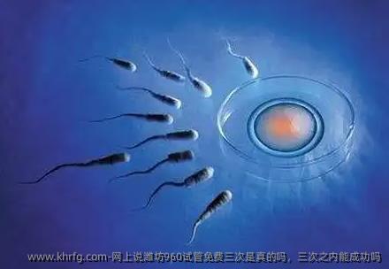 网上说潍坊960试管免费三次是真的吗，三次之内能成功吗