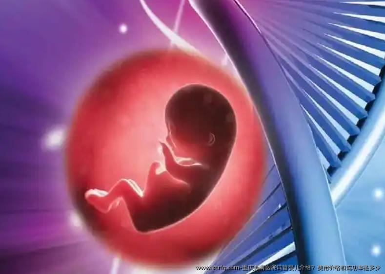 重庆西南医院试管婴儿介绍？费用价格和成功率是多少