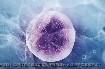 养囊胚，如何提高养囊成功率？子宫肌瘤什么情况下需要做手术？