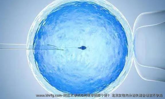 阿达木单抗和托珠单抗哪个好？ 北京女性内分泌失调会导致不孕吗