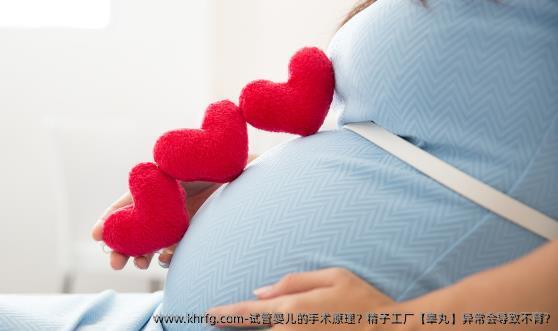试管婴儿的手术原理？精子工厂【睾丸】异常会导致不育?