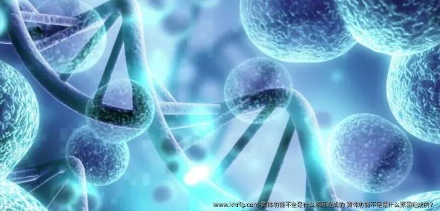黄体功能不全是什么原因造成的 黄体功能不足是什么原因造成的？