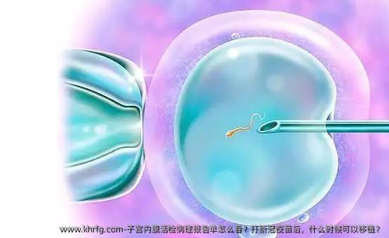 子宫内膜活检病理报告单怎么看？打新冠疫苗后，什么时候可以移植？