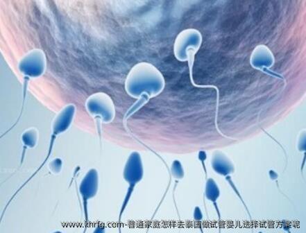 普通家庭怎样去泰国做试管婴儿选择试管方案呢