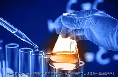 输卵管对生育的重要性是什么?？移植前怎么调理身体增加成功率？