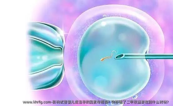 影响试管婴儿成活率的因素有哪些？快移植了二甲双胍要吃到什么时候？