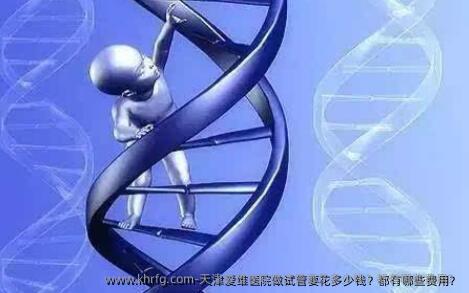 天津爱维医院做试管要花多少钱？都有哪些费用？