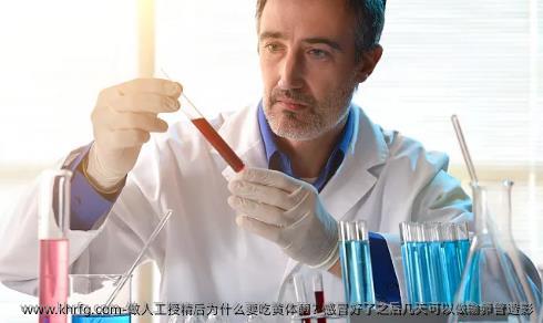 做人工授精后为什么要吃黄体酮？感冒好了之后几天可以做输卵管造影