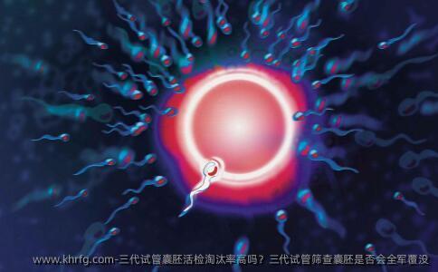 三代试管囊胚活检淘汰率高吗？三代试管筛查囊胚是否会全军覆没