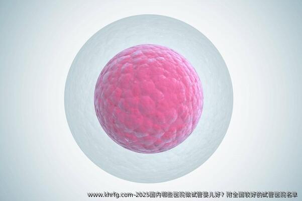 2025国内哪些医院做试管婴儿好？附国内较好的试管医院名单