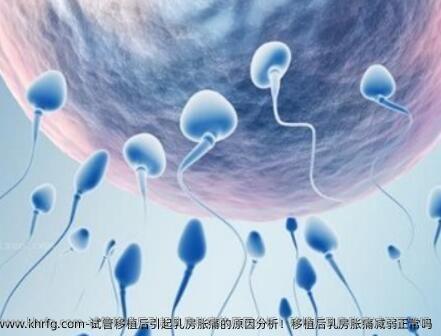 试管移植后引起乳房胀痛的原因分析！移植后乳房胀痛减弱正常吗