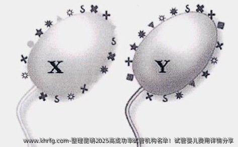 整理昆明2025高成功率试管机构名单！试管婴儿费用详情分享