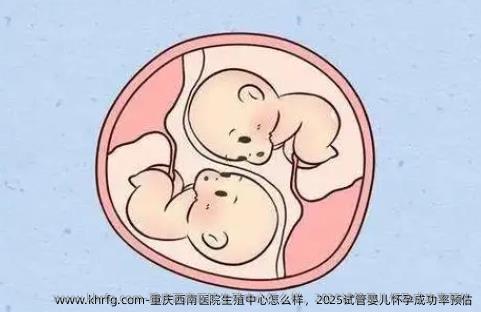 重庆西南医院生殖中心怎么样，2025试管婴儿怀孕成功率预估
