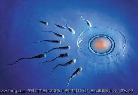 在珠海生三代试管婴儿费用如何计算？三代试管婴儿为何这么贵？