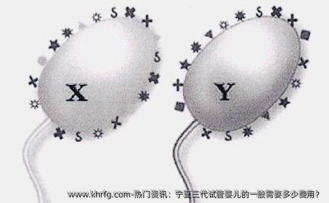 热门资讯：宁夏三代试管婴儿的一般需要多少费用？