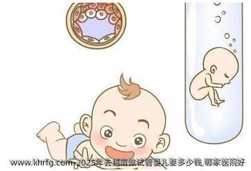 2025年去越南做试管婴儿要多少钱,哪家医院好