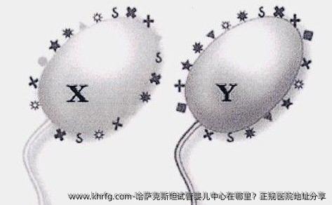 哈萨克斯坦试管婴儿中心在哪里？正规医院地址分享
