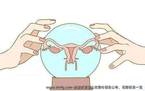 泰国试管婴儿收费价目表公布，花费标准一览