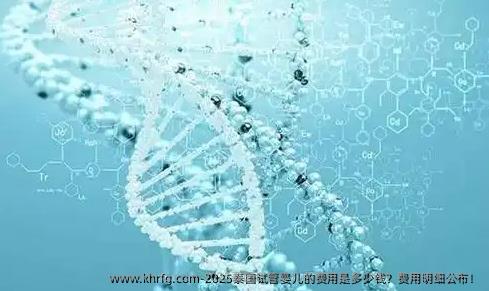 2025泰国试管婴儿的费用是多少钱？费用明细公布！