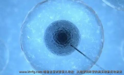 格鲁吉亚试管婴儿奇迹：从绝望到希望的真实故事成功案例