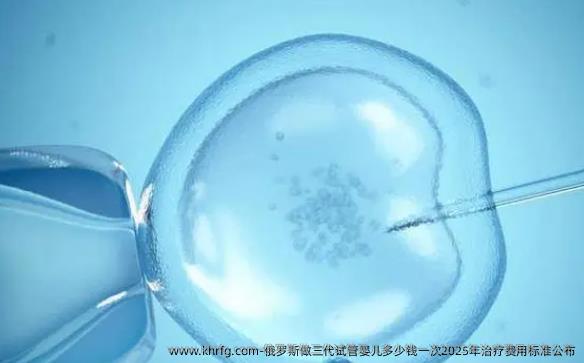 俄罗斯做三代试管婴儿多少钱一次2025年治疗费用标准公布