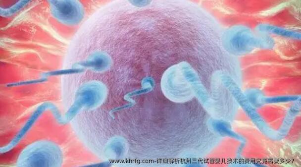 详细解析杭州三代试管婴儿技术的费用究竟需要多少？