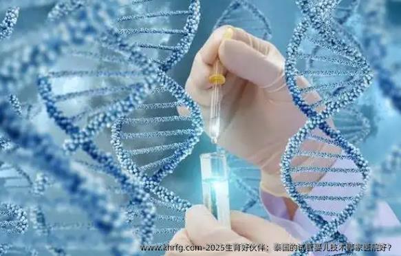2025生育好伙伴：泰国的试管婴儿技术哪家医院好？
