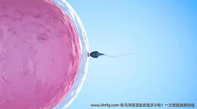 在马来西亚做试管多少钱？一次试管费用明细