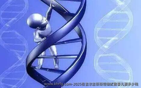 2025在吉尔吉斯斯坦做试管婴儿要多少钱